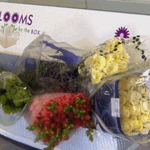 Wholesaler's Choice DIY Flower Pack (Medium)
