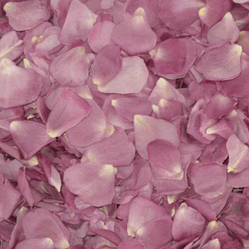 Lovely Lavender FD Rose Petals (30 Cups)