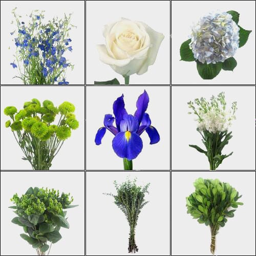 Dreamy Blue DIY Wedding Flower Pack