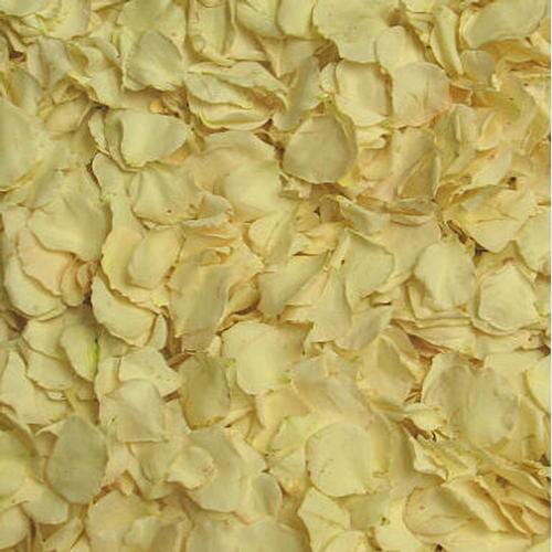 Champagne Rose Petals (30 Cups)