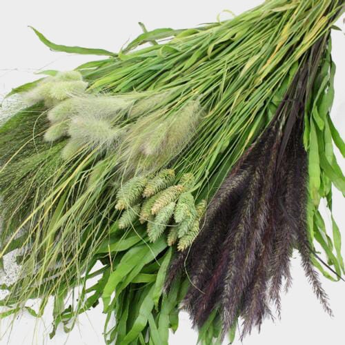Assorted Fancy Grasses (6 Bunches)