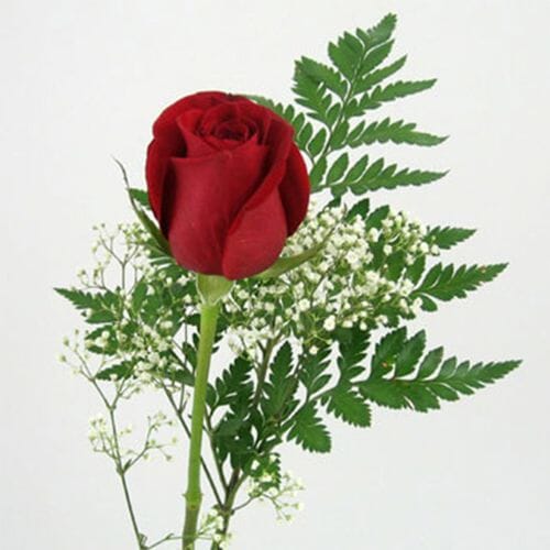 Rose Bouquet 1 Stem - Red Freedom 50 cm